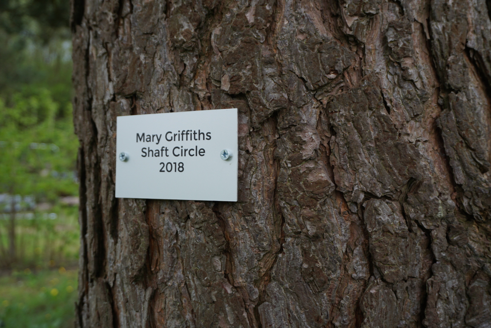 MG Shaft Circle Photo 29-04-2018, 15 19 03